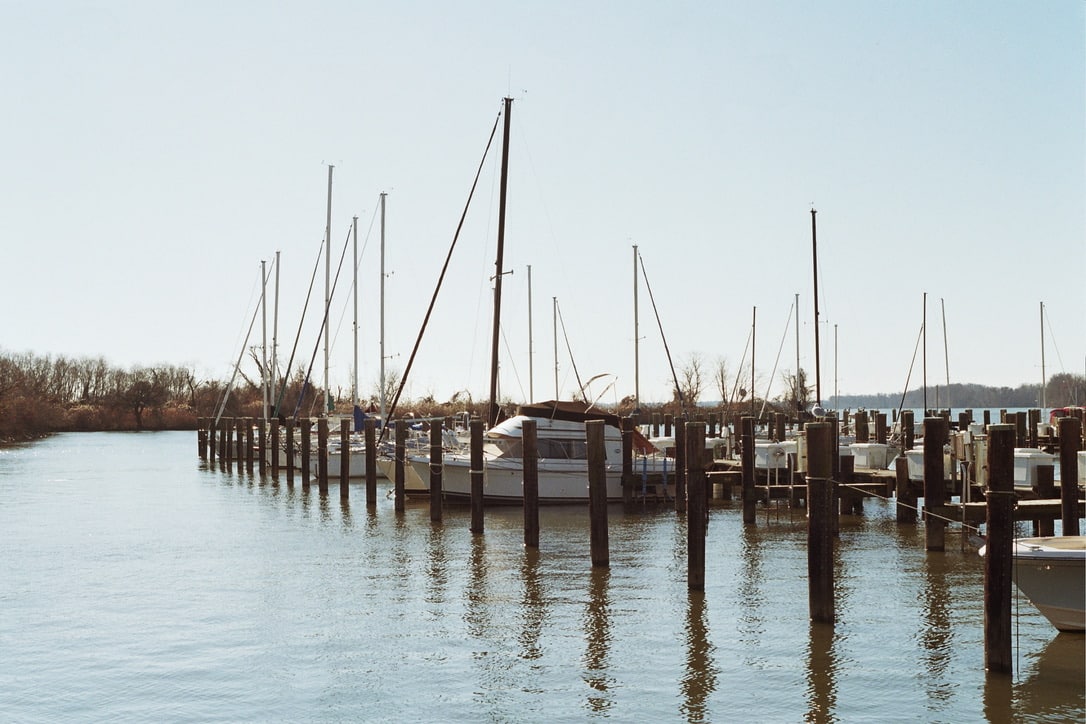 A calm marina with several sailboats and yachts docked at wooden piers mirrors the precision of custom website design. The masts and rigging of the boats rise into the clear blue sky. The reflective water is peaceful, while the far shore is lined with trees and distant landforms, akin to thoughtful graphic design.