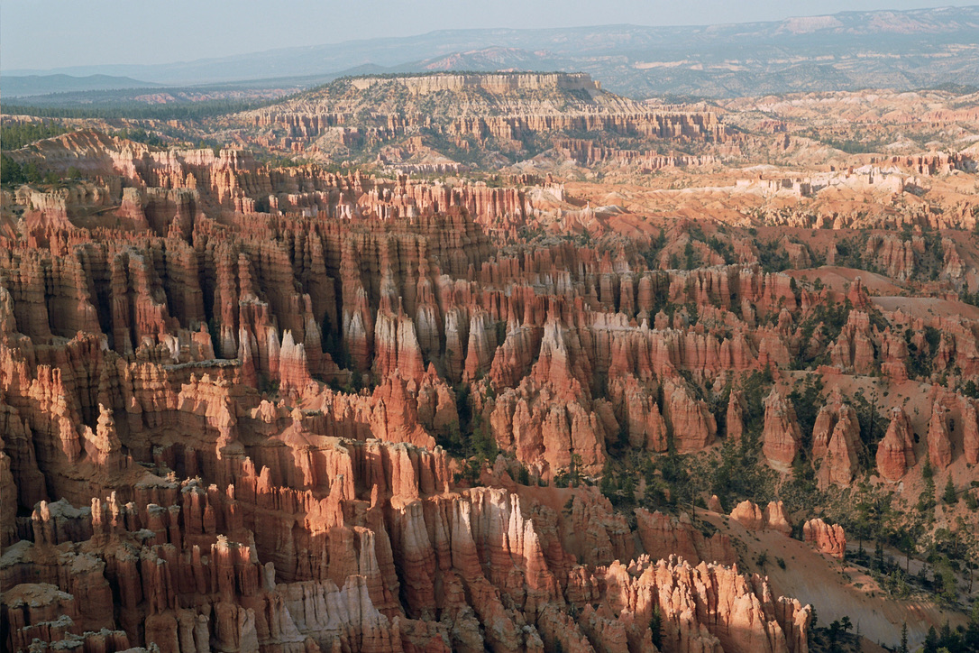 A panoramic view of Bryce Canyon National Park showcases the distinctive, dense clusters of red and orange hoodoos—tall, thin rock formations—set against a background of layered cliffs and distant mesas under a clear sky, as mesmerizing as custom websites crafted with expert graphic design.