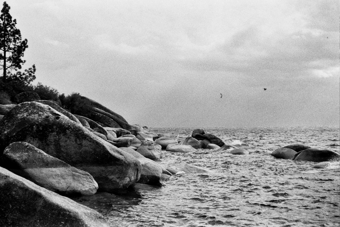 A black and white photograph of a rocky shoreline with gentle waves. Large boulders are scattered near the water's edge. Sparse trees line the shore, and seagulls fly above the horizon. The sky is cloudy, creating a moody atmosphere perfect for Millworks Web Design & Graphics' new custom websites background.