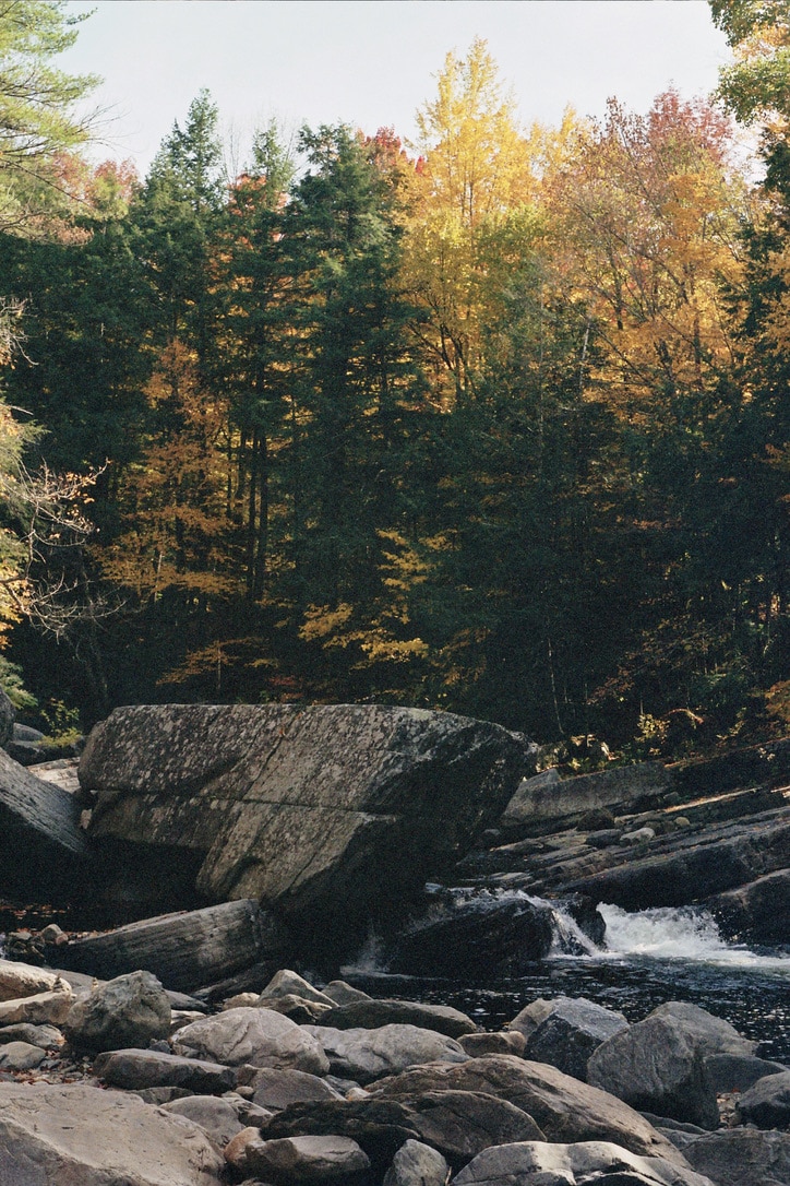 A picturesque autumn landscape featuring a forest with vibrant fall foliage in shades of yellow, orange, and green. A large rock is situated in the foreground near a flowing river, surrounded by scattered smaller rocks and cascading water. This scene could inspire web design elements for custom websites.