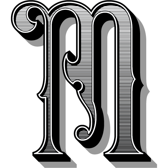 A stylized capital letter "M" with intricate, ornate detailing and horizontal lines inside it. The design includes elegant curves and shadows, giving it a three-dimensional appearance on a white background, perfect for enhancing custom websites with its unique flair.