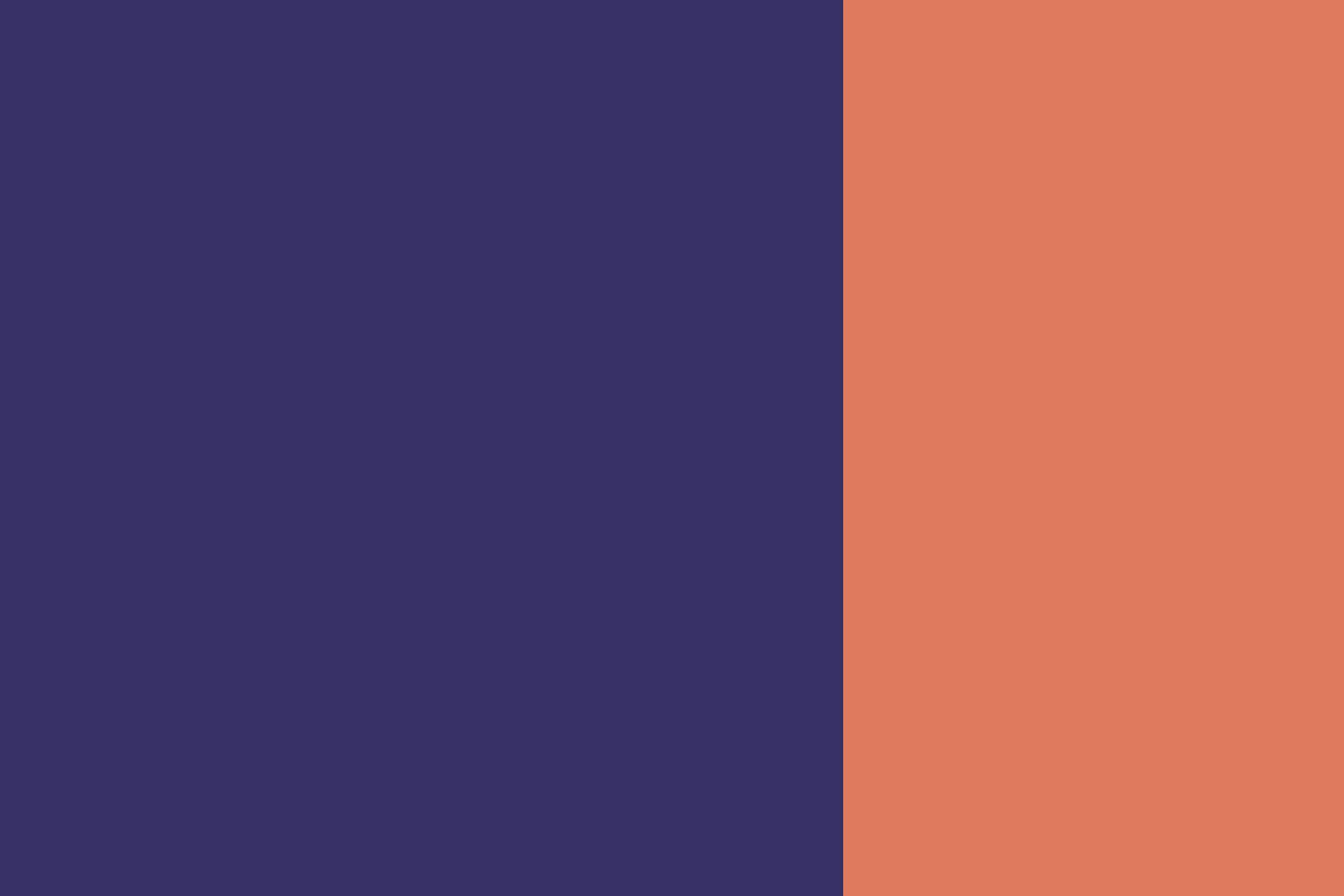 A vertical image with two solid color blocks: the left side is dark blue, and the right side is a light, salmon orange. The blocks are of equal width and meet at a sharp, vertical line in the center—a perfect backdrop for showcasing custom websites or innovative graphic design in digital marketing.