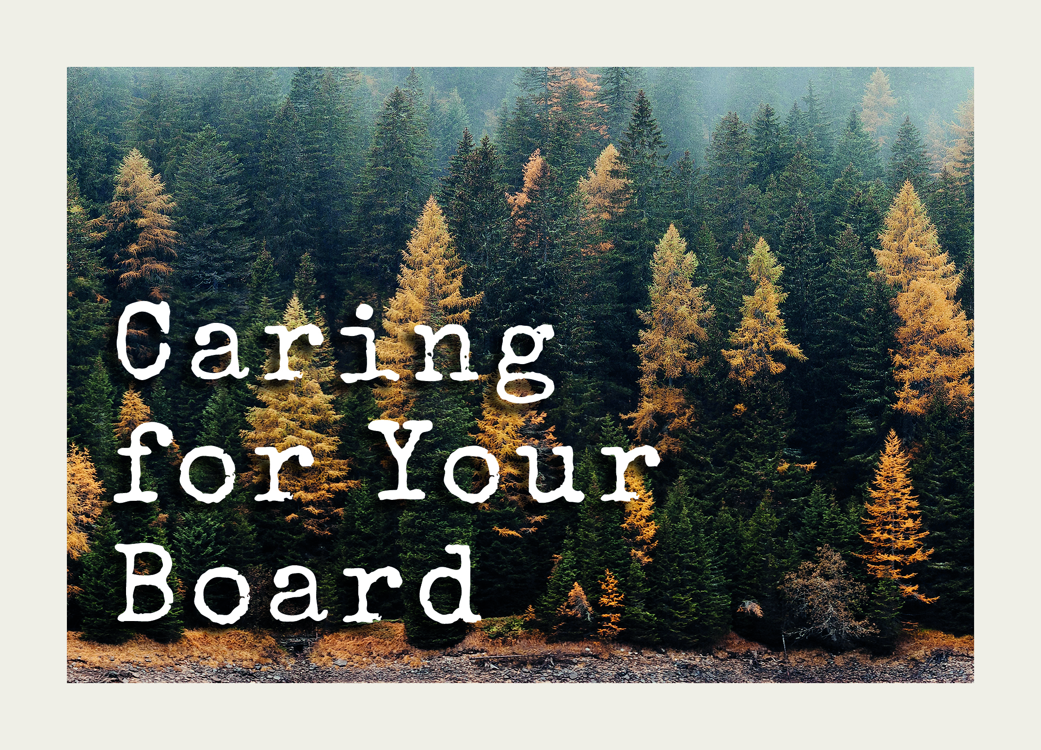 An image of a dense evergreen forest with a mix of green and yellowish trees. The text "Caring for Your Board" is prominently displayed in bold, uppercase letters on the left side of the image. The background is slightly faded to emphasize the text, creating a graphic design aesthetic perfect for digital marketing or web design.