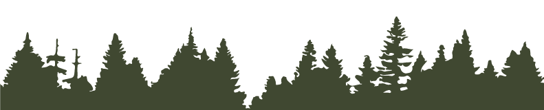 Silhouette of a dense forest with various evergreen trees against a light background.