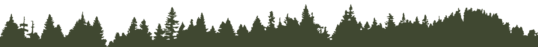 Silhouette of a dense forest with various evergreen trees against a light background, creating a jagged, natural tree line.