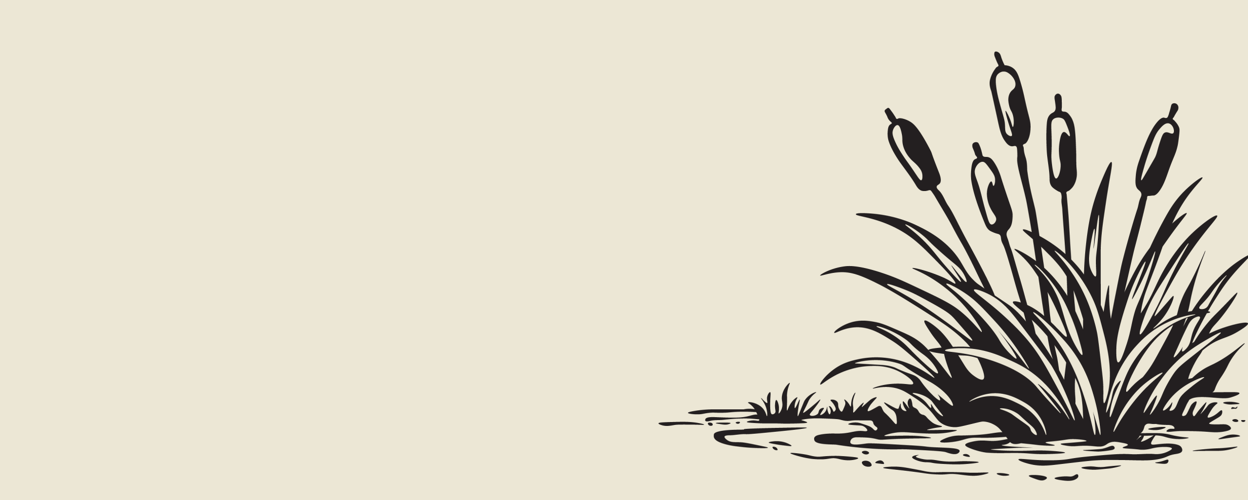 Black and white illustration of tall cattail plants growing at the edge of a small pond, with rippled water and grass on a plain light background, perfect for branding projects seeking a natural and minimal aesthetic.